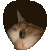 kittypeak Discord emoji