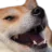 23_huehue