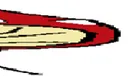 chad6