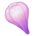 AmakumoFruit
