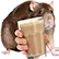 RatChoccy RatChoccy