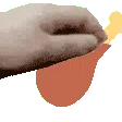 poulet
