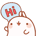 bunnyhi