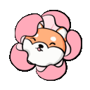 floweringshiba