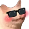 CoolShyCat