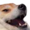hehe