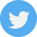 twitter Discord emoji