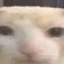 bruh