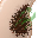 ArmpitHair