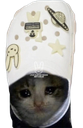 zzm_120llorando Discord emoji