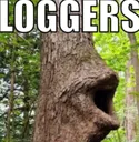Loggers