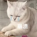 anothercatfornoreason Discord Emoji