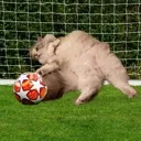 wistygoalie