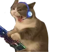gamercat