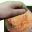 pet_donutbat
