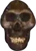 ancientcurse