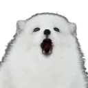 gasp