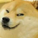HS_TUhmmdoggoangry