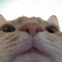 hello