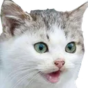 Catmeow catmeow Discord Emoji