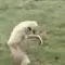 GibbonStealth
