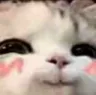 hehe
