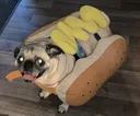 hotdog