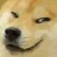 smugdoge