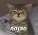 nojao