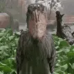 marcusgif