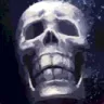 skullbruh