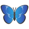 butterfly_blue