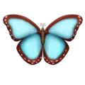 butterfly_aqua