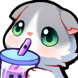 catsenSip