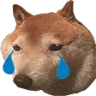 saddoggo