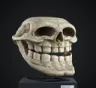 trollskull