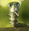 Bug