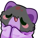 megaaCozy