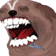 LFGJOOO