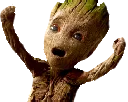 grootcheer