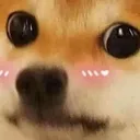 UwU_Dog