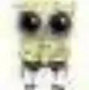 spongl