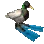 DuckSpin DuckSpin