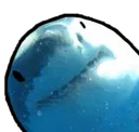 SharkStare