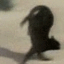 comingthrough