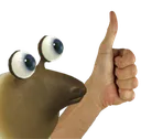 canyouis