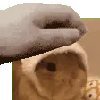phaebunnypat phaebunnypat