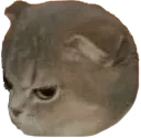 angy