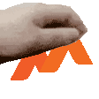 pettheCM Discord emoji