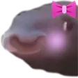 pauseFishKawaii pauseFishKawaii